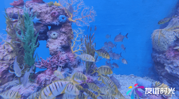 121628748678819056568.png 3.png